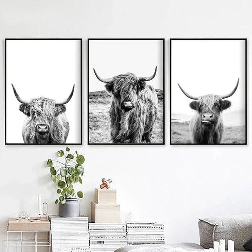 Highland Cattle Black White Minimalist Wall Art Fine Art Canvas Prints Posters Pictures For Living Room Dining Room Nordic Home Decor | Bowlift
