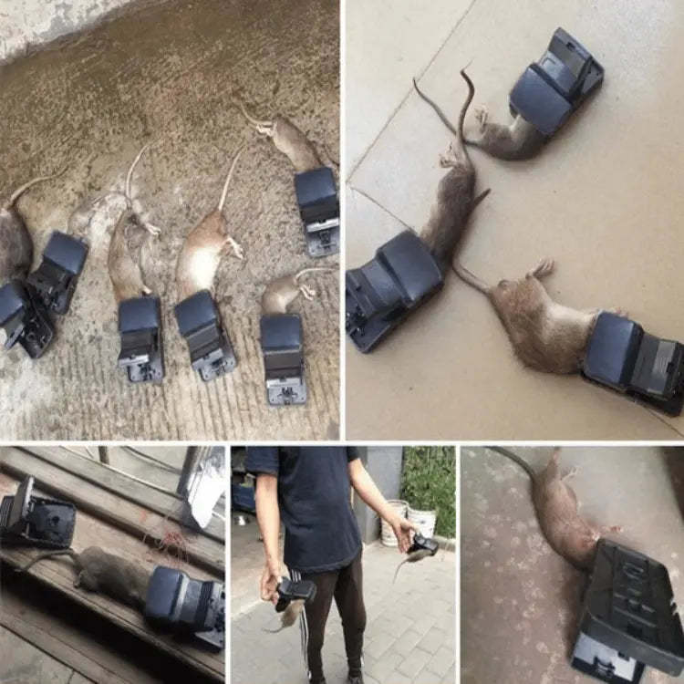 BowLift | Highly sensitive mouse trap with strong spring