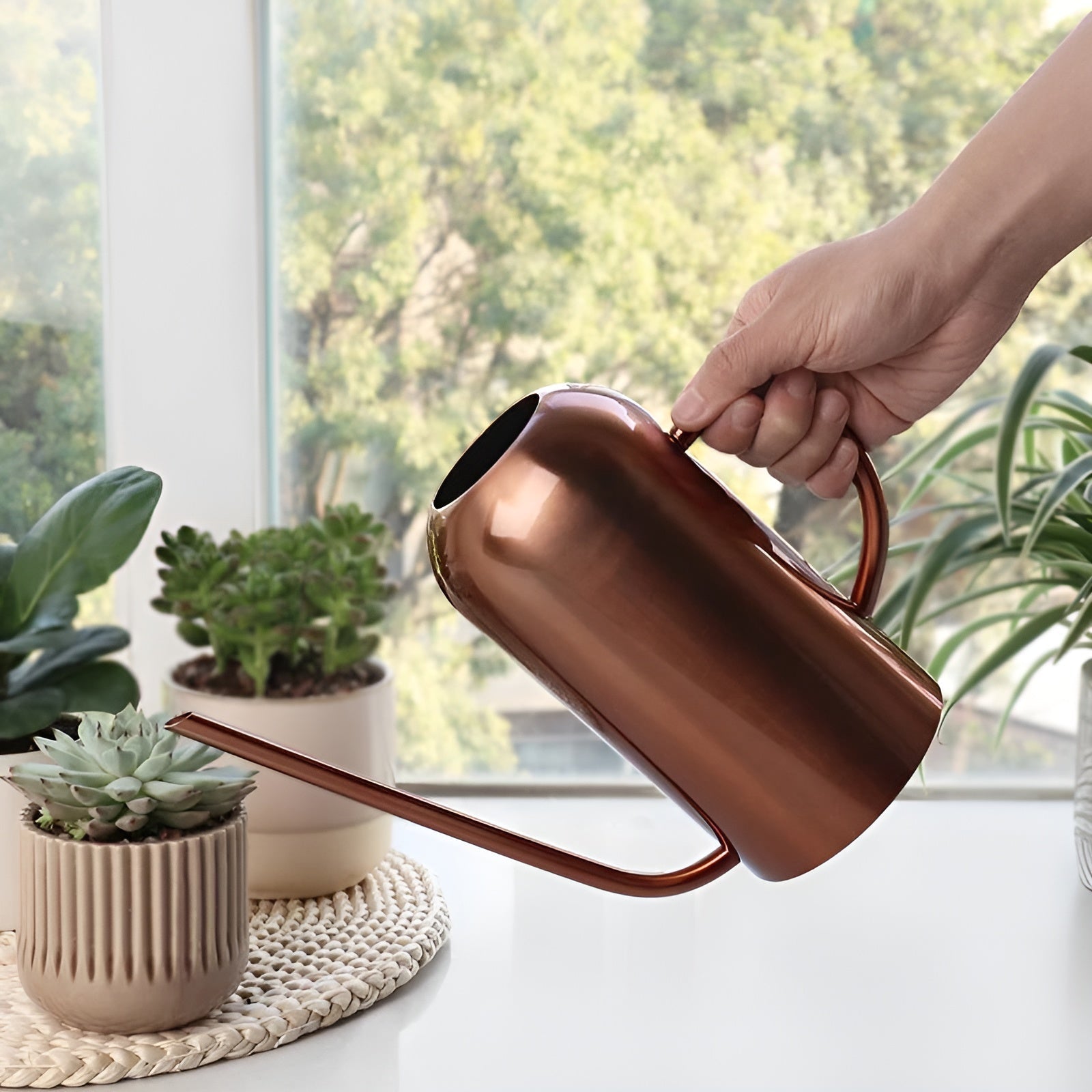 BowLift | Stainless Steel Pourer - 1.5L Long Watering Can for Plants and Flowers