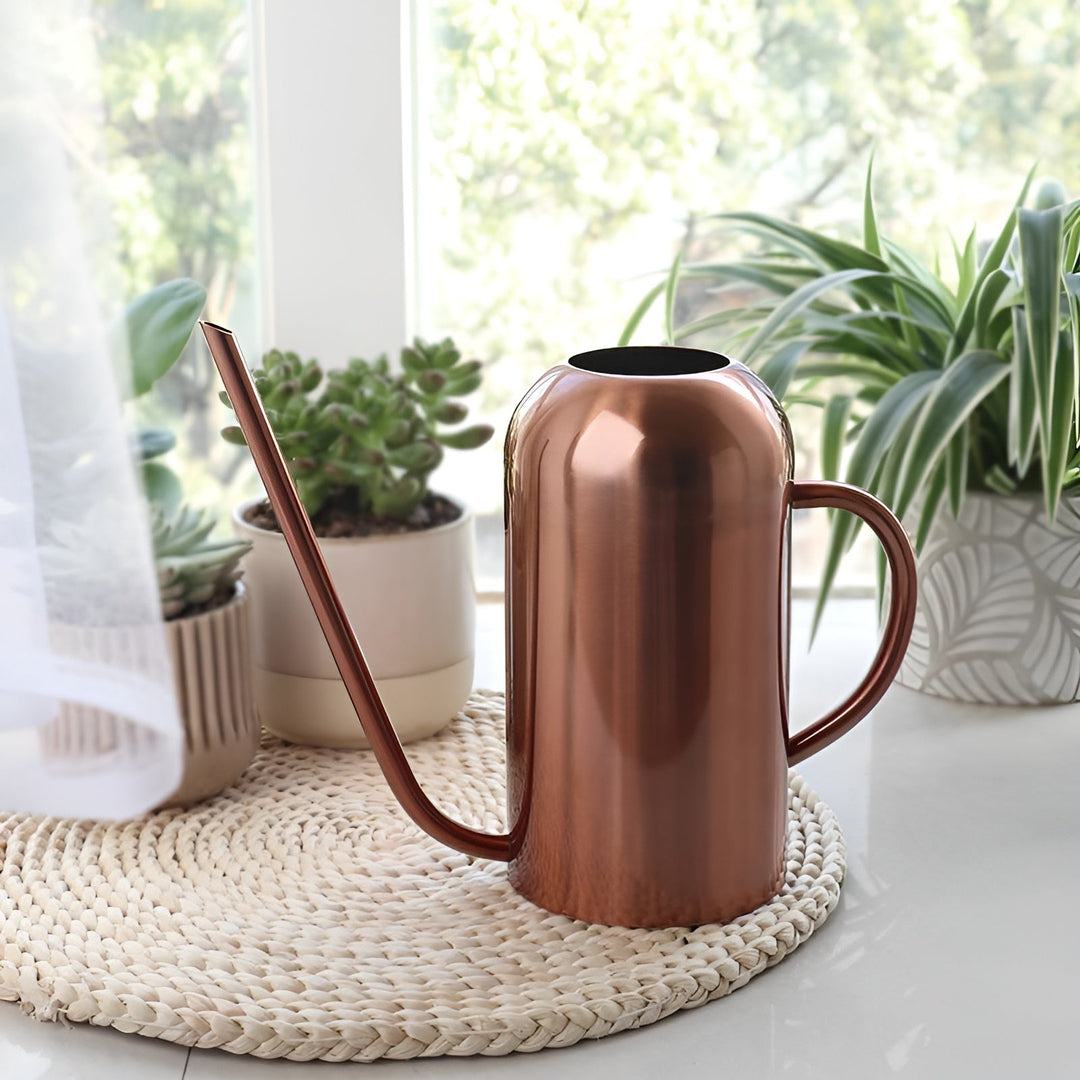 BowLift | Stainless Steel Pourer - 1.5L Long Watering Can for Plants and Flowers