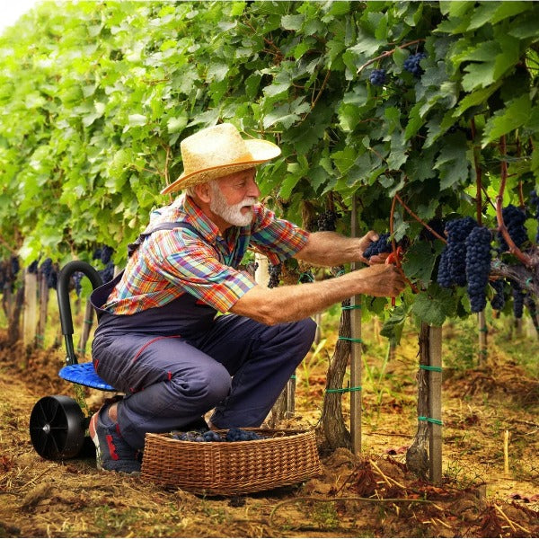 BowLift | GrowGlide – Garden ergonomically in every corner!