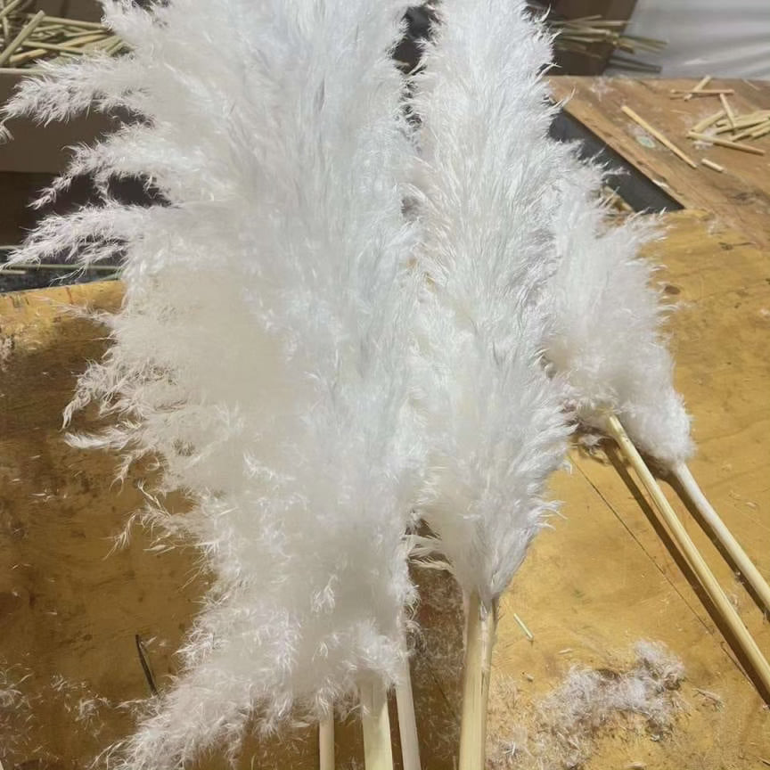 BowLift | Large fluffy pampas grass