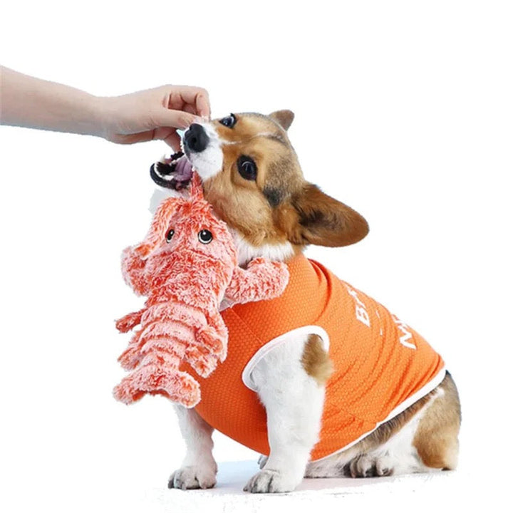 BowLift | Wiggly Lobster Interactive Motion Toy for Dogs