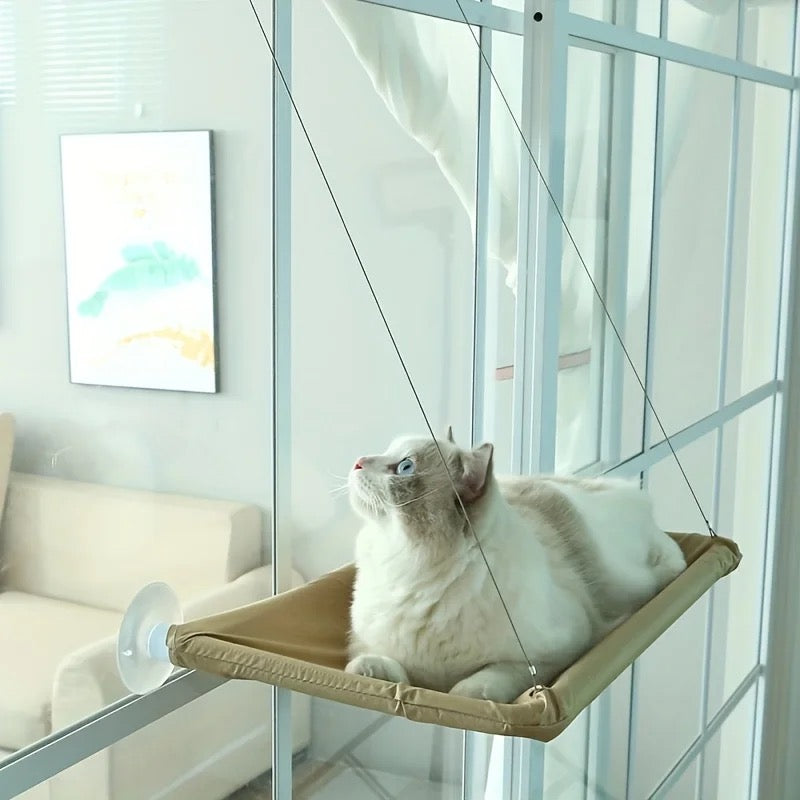 Cat Hammock Bowlift