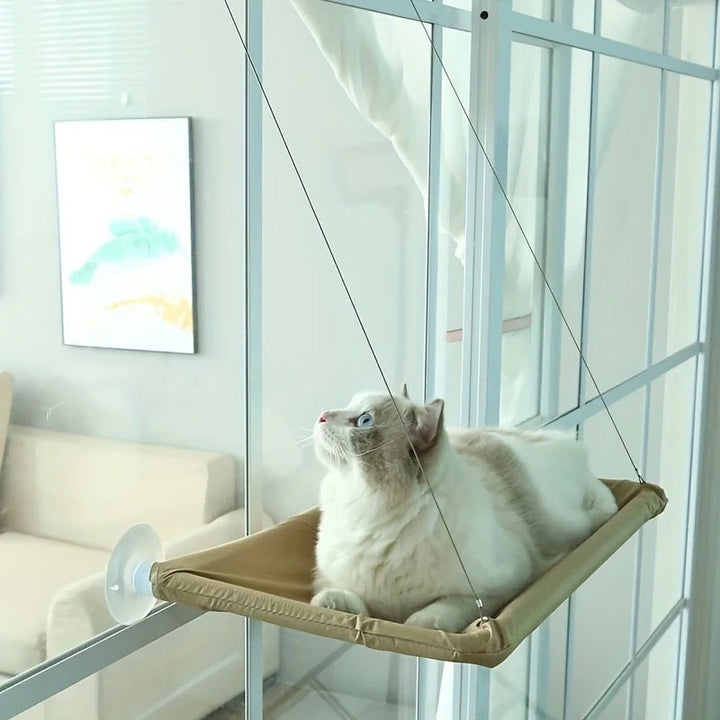 Cat Hammock Bowlift