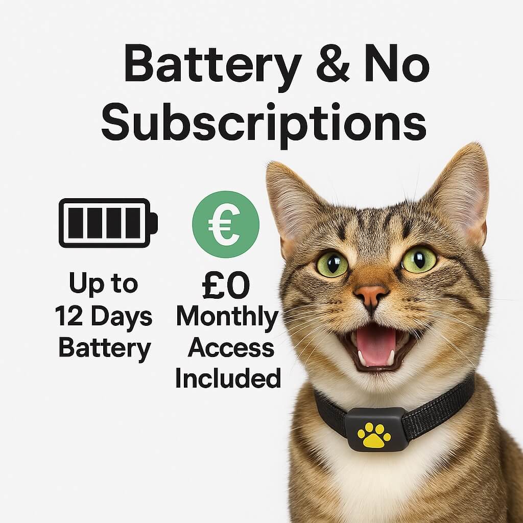 BowLift | #1 Find  GPS Cat Tracker with Real-Time Location, Waterproof Design, and Activity Monitoring for Pet Safety and Tracking