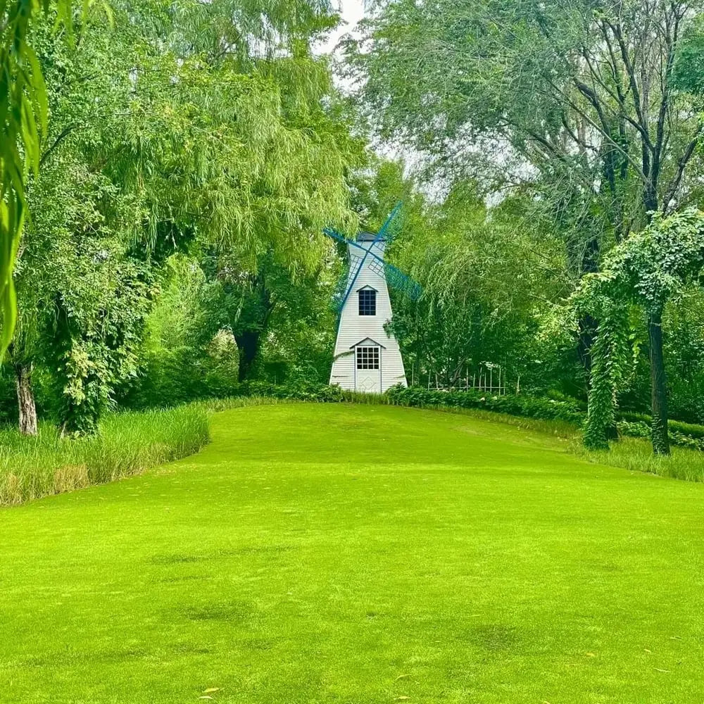 BowLift | Evergreen Grass Seeds – Lusher, greener lawn made easy!