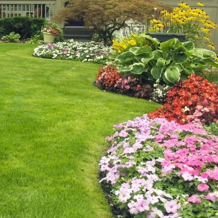 BowLift | Evergreen Grass Seeds – Lusher, greener lawn made easy!