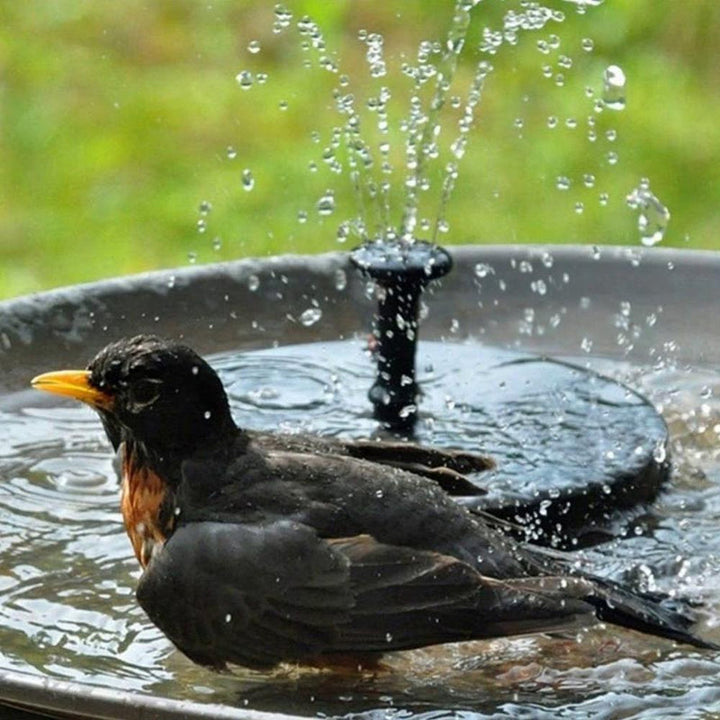 BowLift | Solar Energy Fountain Pump WaterSoft – For Pond, Birdbath or Garden Decoration