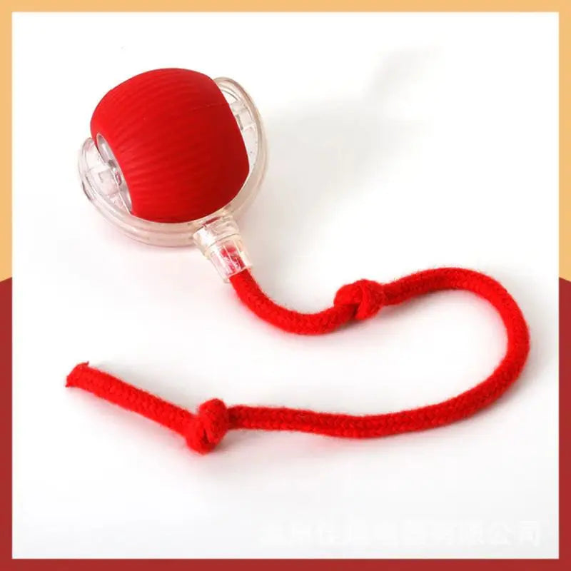 BowLift | Interactive toy for active animals