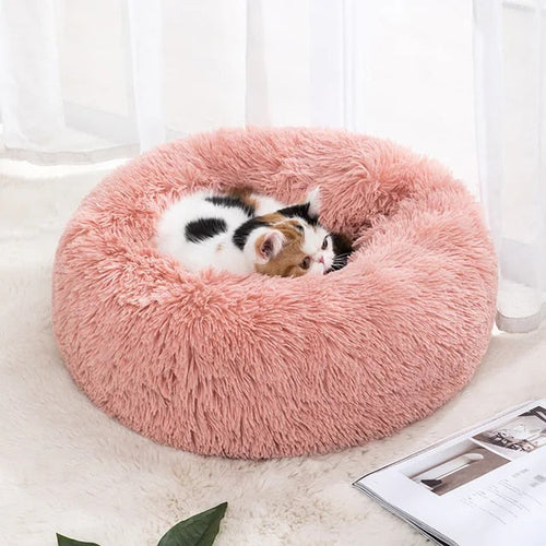 BowLift | Milowa Soft Orthopedic Pet Bed for Cats and Dogs