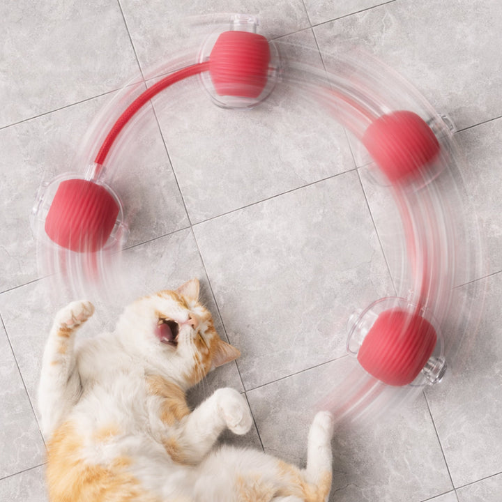 Smart interactive cat ball with string | Bowlift
