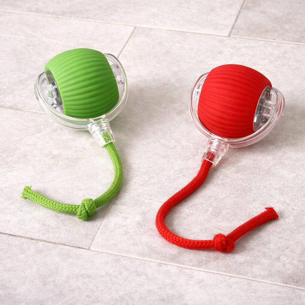 Smart interactive cat ball with string | Bowlift