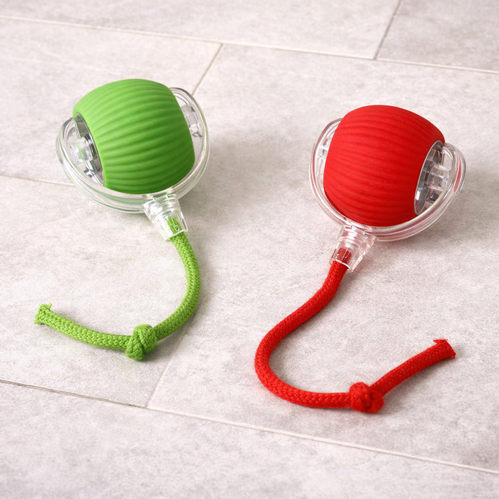 Smart interactive cat ball with string | Bowlift