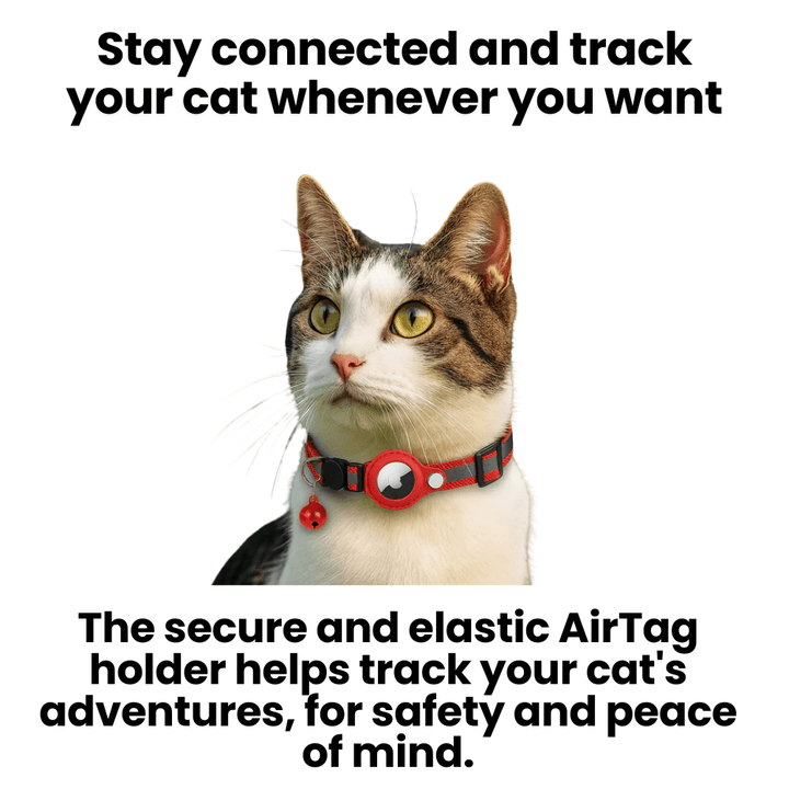 BowLift | GPS Collar for Cats with Reflective Design
