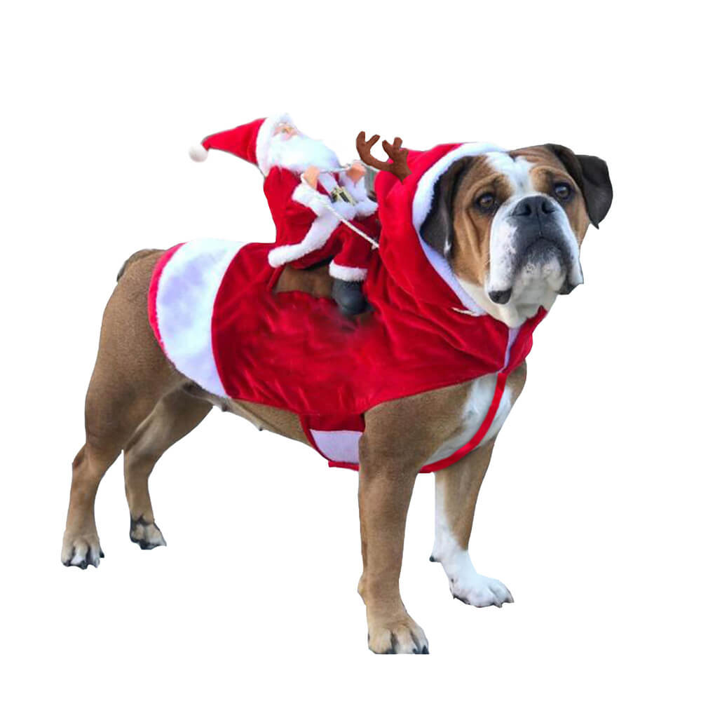 BowLift | Christmas Santa Costume for Dogs – Festive Outfit for your Pet