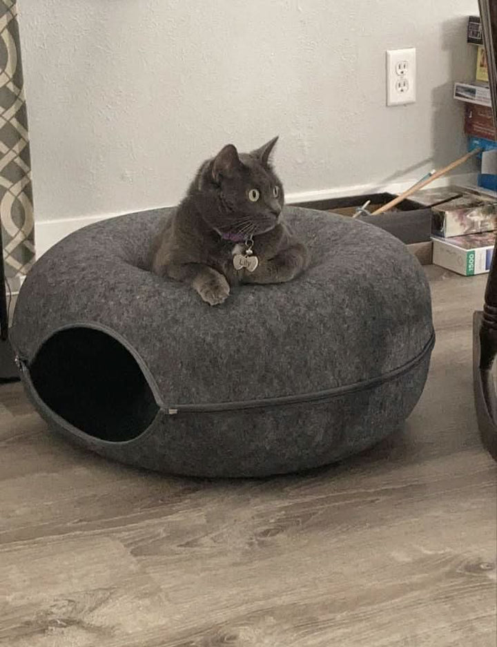 BowLift | Luxury cat tunnel with sleeping area