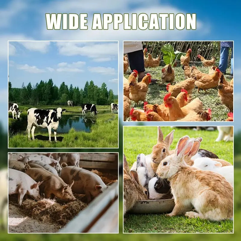 BowLift | Durable lawn shredder blade for agricultural home use (25–26 cm diameter)