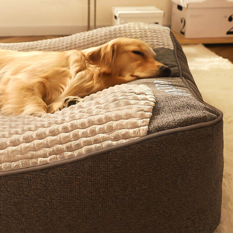 BowLift | CocoonChien | Optimal comfort for your companion