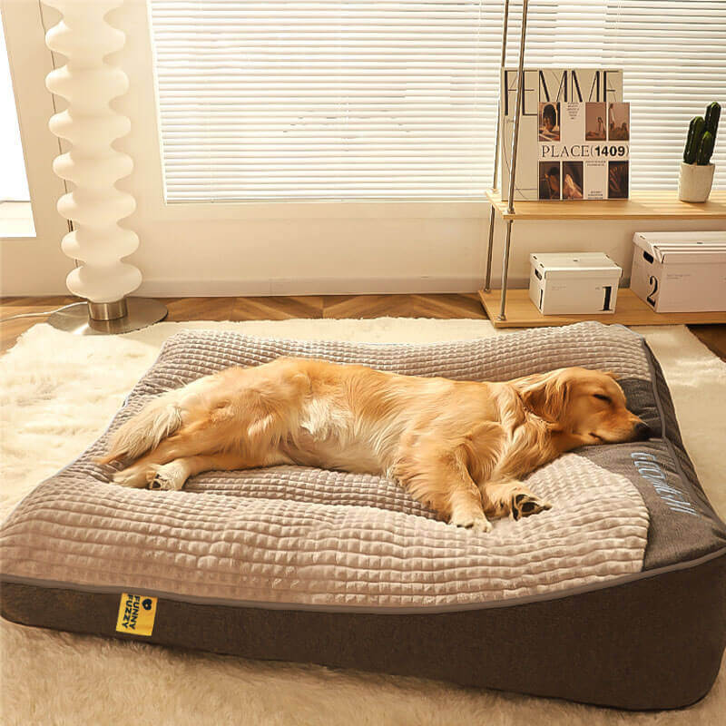 BowLift | CocoonChien | Optimal comfort for your companion