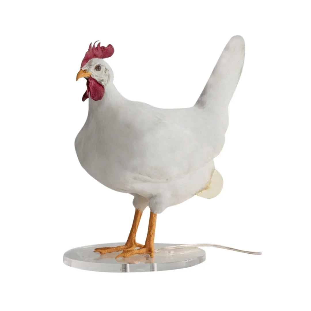 BowLift | ChickLume - Innovative lamp for hens - Encourages laying - Lights up and heats up