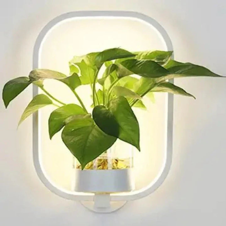BowLift | Wall Light with Glass Plant Holder