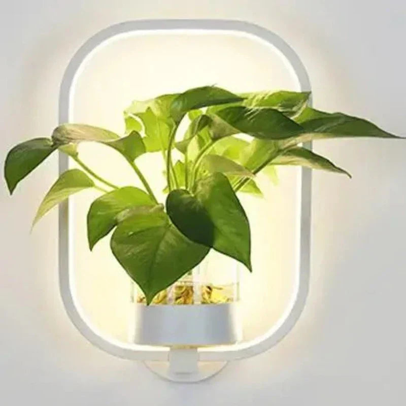 BowLift | Lumora Plant Wall Lamp - Stylish Lighting with Natural Greenery