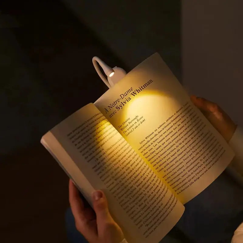 - Reading lamp book clamp rechargeable Bowlift