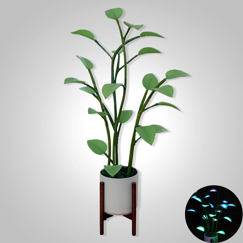 BowLift | Luminous Bloom | Magic LED Plant