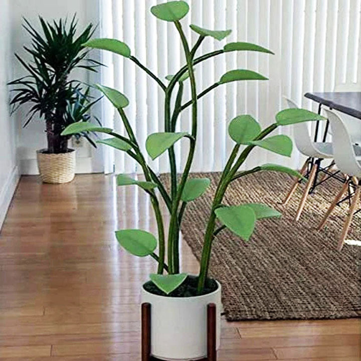 BowLift | Luminous Bloom | Magic LED Plant