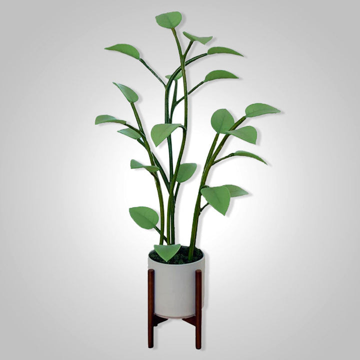 BowLift | Luminous Bloom | Magic LED Plant