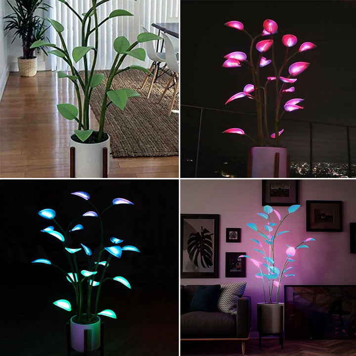 BowLift | Luminous Bloom | Magic LED Plant