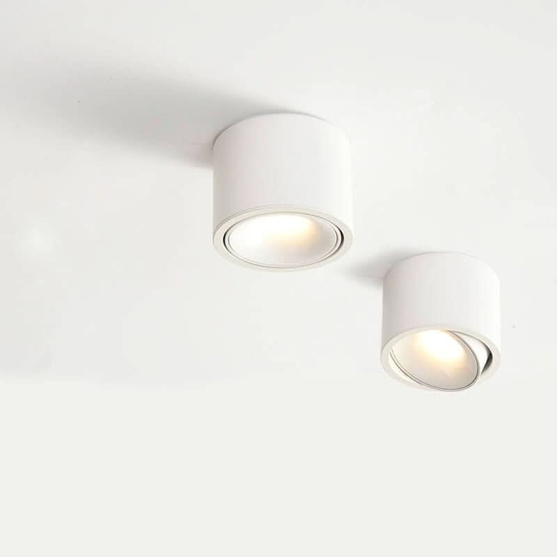 BowLift | Minimalistic LED Ceiling Light with Adjustable Spotlight