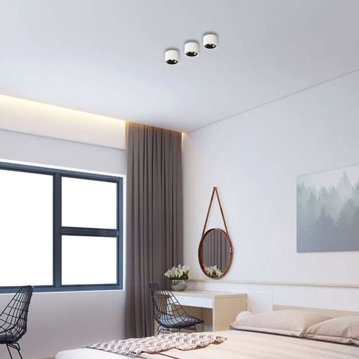 BowLift | Minimalistic LED Ceiling Light with Adjustable Spotlight