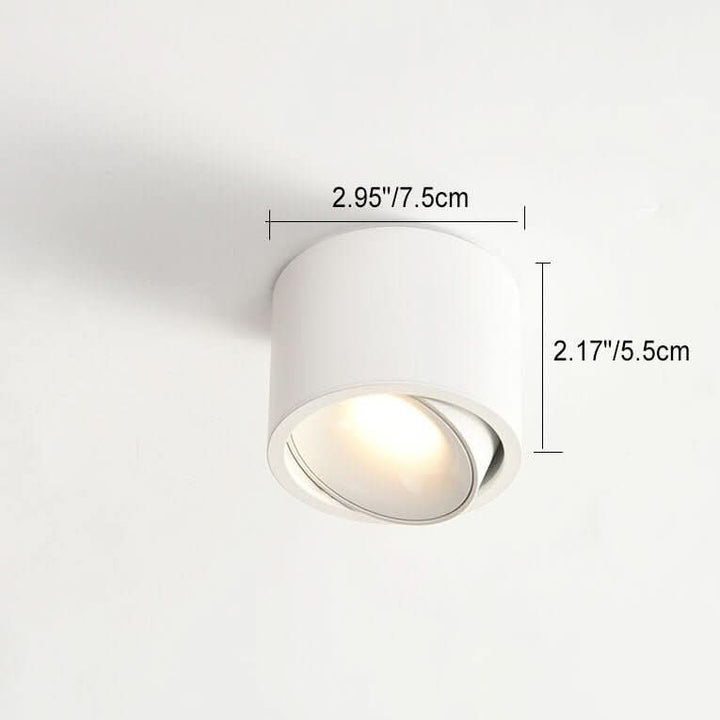 BowLift | Minimalistic LED Ceiling Light with Adjustable Spotlight