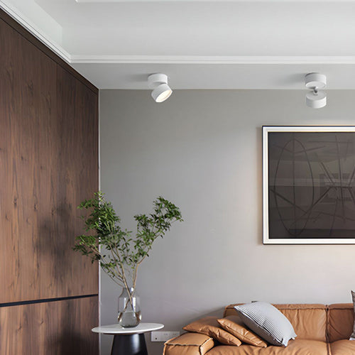 BowLift | MiniAdjust – Adjustable LED Ceiling Light | 5W Modern Surface-Mount Spotlight