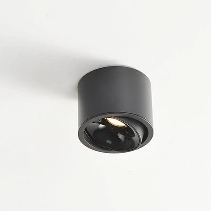 BowLift | Minimalist ceiling light with adjustable light spot