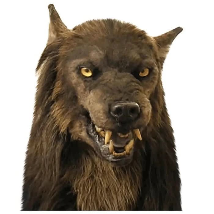 BowLift | Realistic Werewolf Mask for Halloween & Cosplay