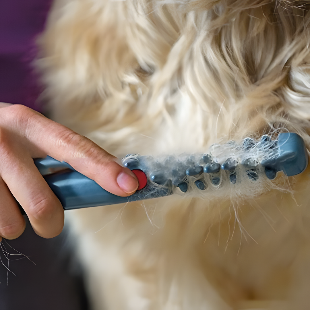 BowLift | No More Knots & Tangles Pet Comb