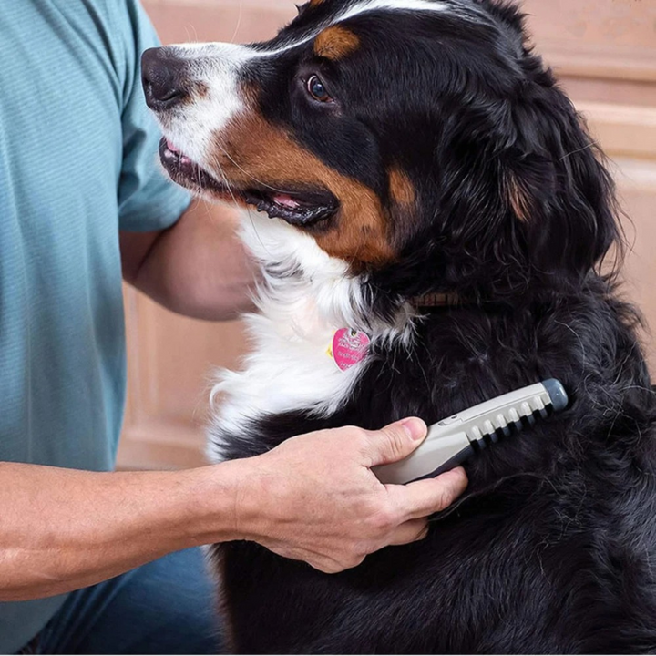 BowLift | No more knots and tangles for your pet