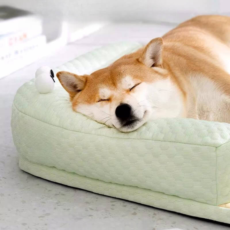 FrostyPaws | Cooling Pet Bed | Bowlift