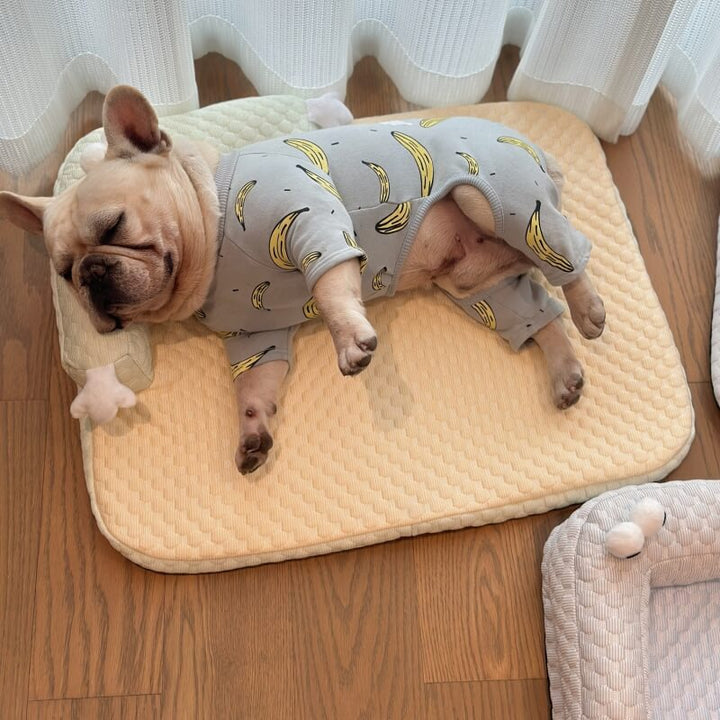 FrostyPaws | Cooling Pet Bed | Bowlift