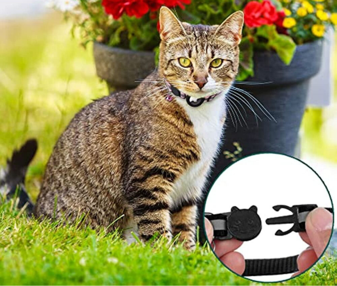 BowLift | Cat GPS Tracker Collar | Quick Release Closure, Reflective Design & Durable for Outdoor Safety Adventures