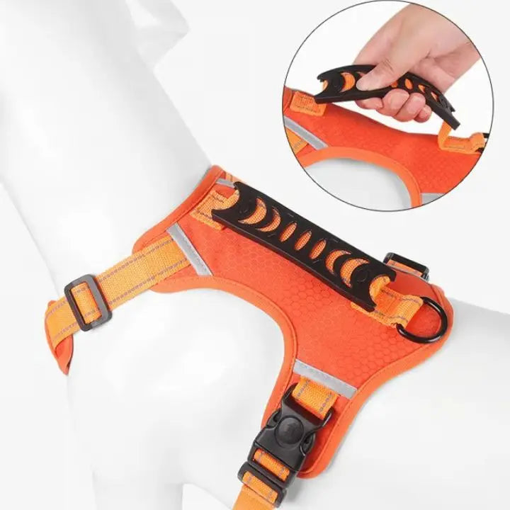 BowLift | No-Pull Dog Harness with Reflective Nylon