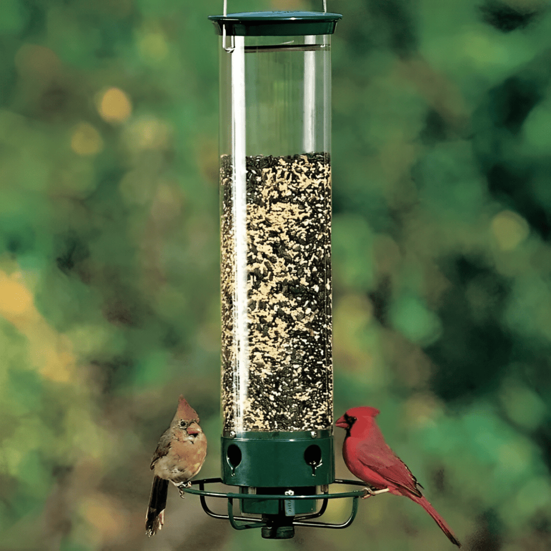 BowLift | Squirrel-Proof Birdhouse with weight-controlled feeder