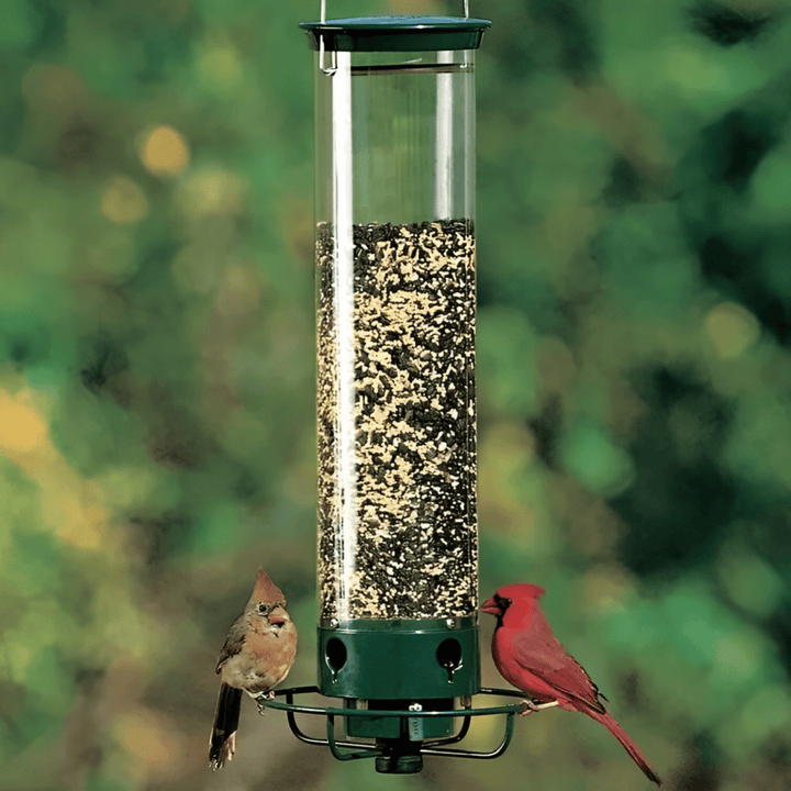BowLift | Squirrel-Proof Birdhouse with weight-controlled feeder