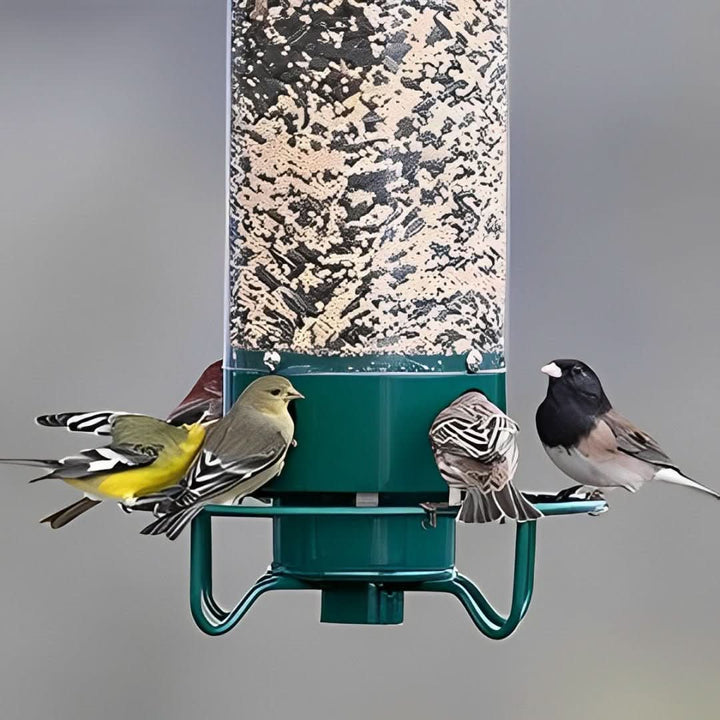 BowLift | Squirrel-Proof Birdhouse with weight-controlled feeder