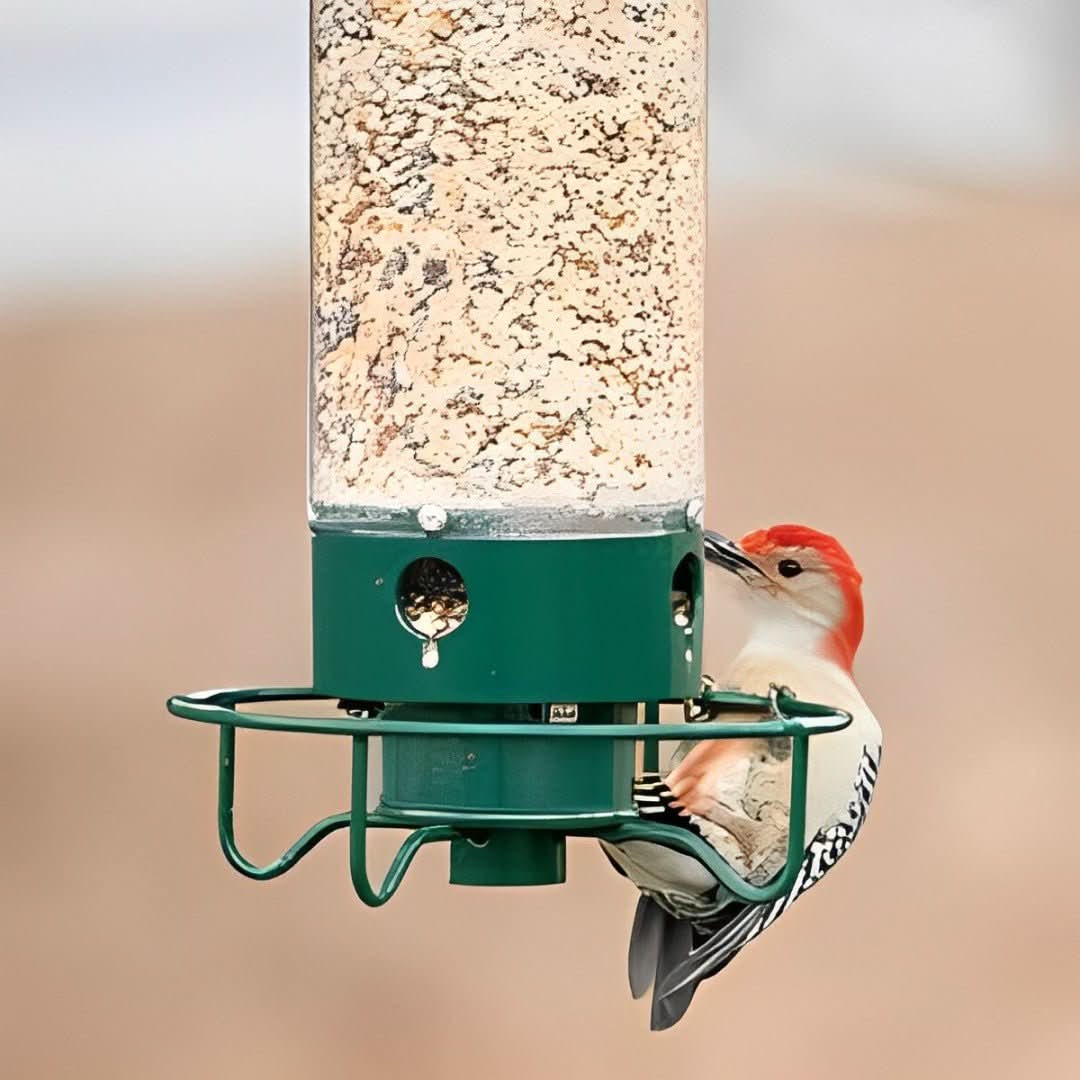 BowLift | Squirrel-Proof Birdhouse with weight-controlled feeder