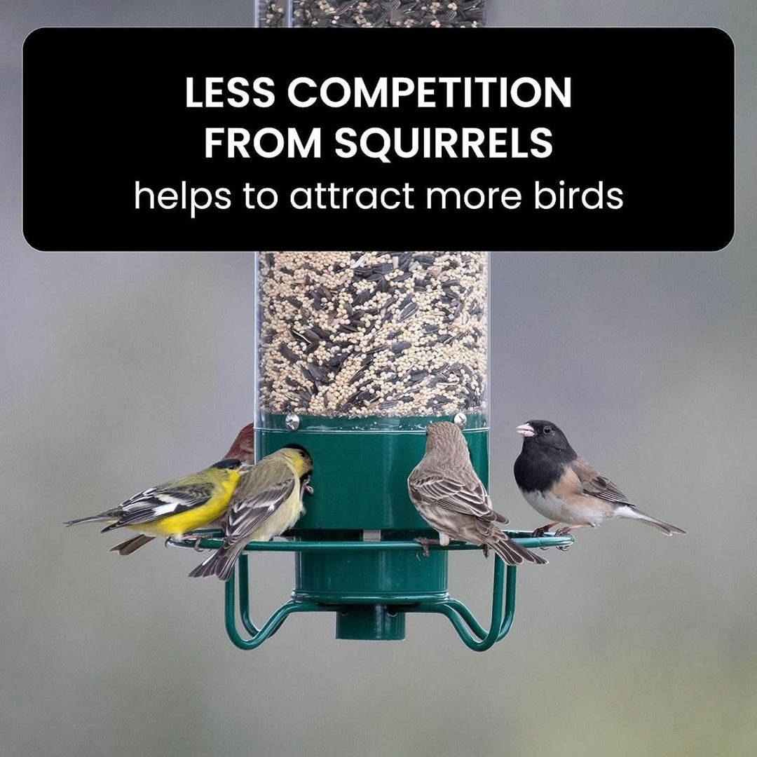 BowLift | Squirrel-Proof Birdhouse with weight-controlled feeder