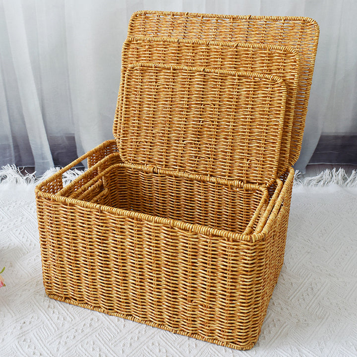 Woven Storage Organizer Box Bowlift